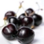 Picture of Black Cherry PG